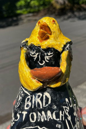 Bird Stomach poszter