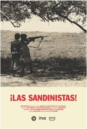 ¡Las Sandinistas! poszter