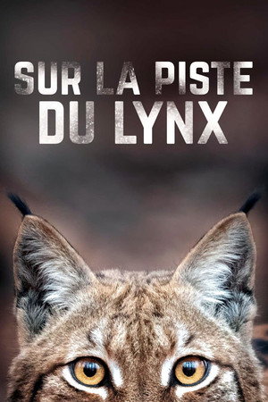 Sur la piste du lynx poszter