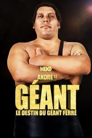 Andre the Giant poszter