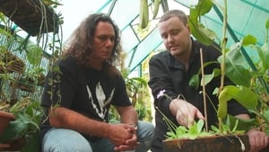 Gardening Australia 31. évad Ep.37 37. epizód