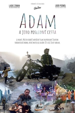 Adam a jeho poslední cesta