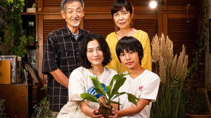 眠る虫 háttérkép