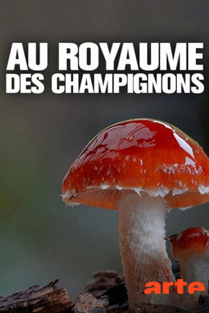 The Kingdom: How Fungi Made Our World poszter