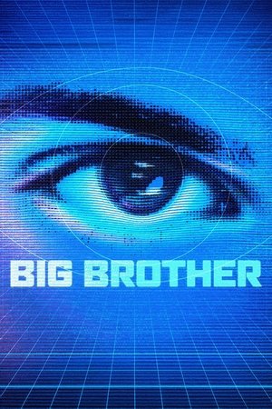 Big Brother poszter
