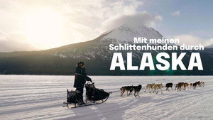 Musher, l'appel de l'Alaska háttérkép