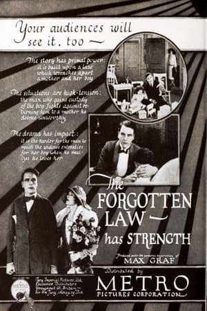 The Forgotten Law poszter