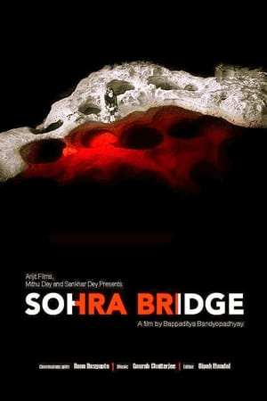 Sohra Bridge (2016)