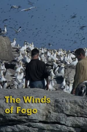 The Winds of Fogo poszter