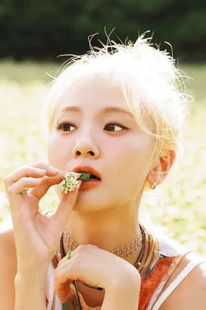 Ahn Ji-young profil kép