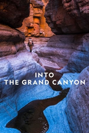 Into the Grand Canyon poszter