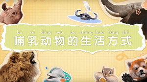 斑马百科 9. évad Ep.11 11. epizód