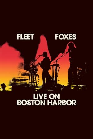 Fleet Foxes Live on Boston Harbor poszter