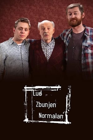 Lud, zbunjen, normalan