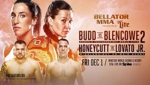 Bellator 189: Budd vs. Blencowe 2 háttérkép