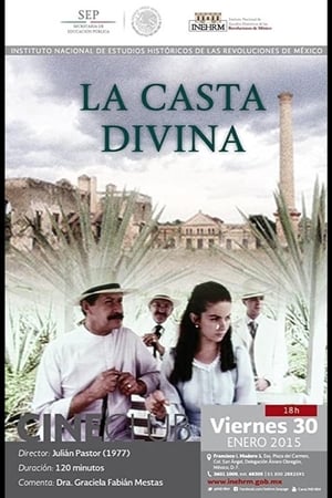 La casta divina poszter