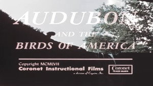 Audubon and the Birds of America háttérkép