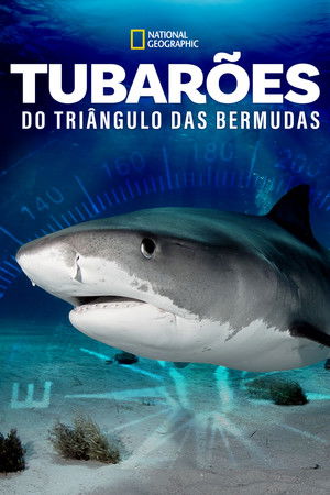Sharks of the Bermuda Triangle poszter