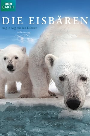 Polar Bear: Spy on the Ice poszter