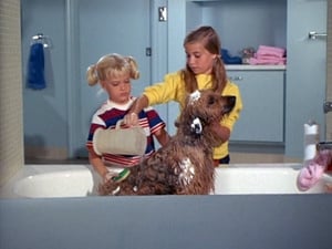 The Brady Bunch 1. évad Ep.5 5. epizód