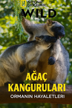 Fakúszó kenguruk: Az erdő szellemei poszter
