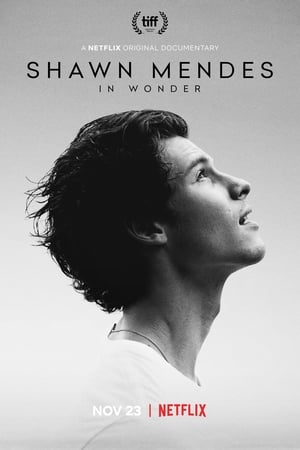 Shawn Mendes: In Wonder poszter