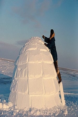 How to Build an Igloo