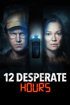 12 Desperate Hours poszter