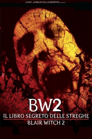 Blair Witch: Ideglelés 2. poszter