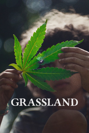Grassland poszter