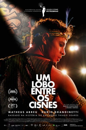Um Lobo entre os Cisnes poszter