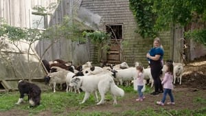 La famille est dans le pré kép