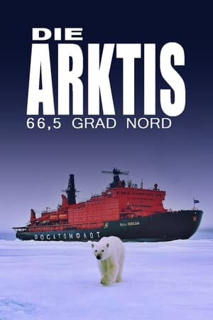 Die Arktis - 66,5 Grad Nord