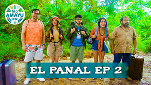 El Panal | BIO AMAYU kép