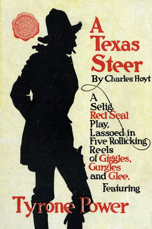 A Texas Steer poszter