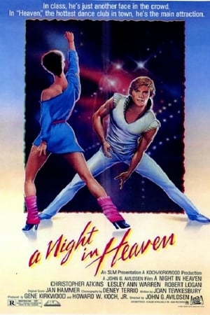 A Night in Heaven poszter