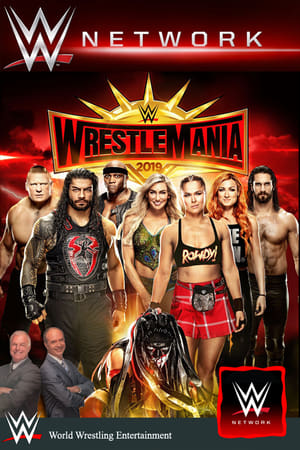 WWE WrestleMania 35 poszter