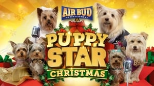 Puppy Star Christmas háttérkép