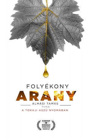 Folyékony arany poszter