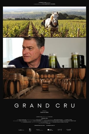 Grand Cru poszter