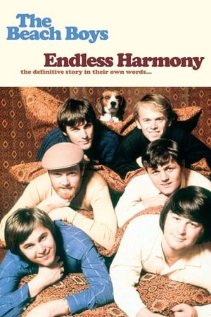 The Beach Boys: Endless Harmony poszter