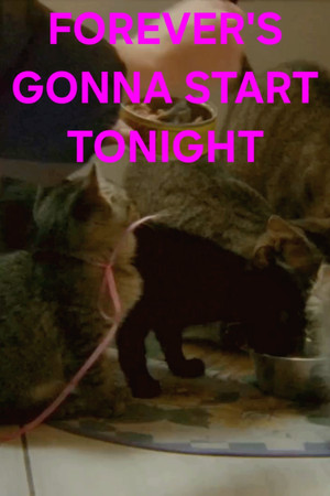 Forever's Gonna Start Tonight poszter