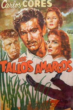 Los tallos amargos poszter