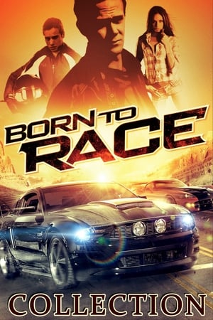 Born to Race filmek