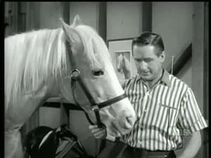 Mister Ed 5. évad Ep.13 13. epizód