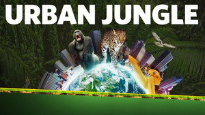 Urban Jungle kép