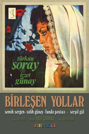 Birleşen Yollar poszter