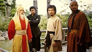 南拳北腿斗金狐 háttérkép