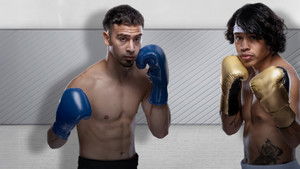 Zuffa Boxing 02 háttérkép