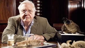 A természet furcsaságai David Attenborough-val 1. évad Ep.2 Nem csalás, nem ámítás